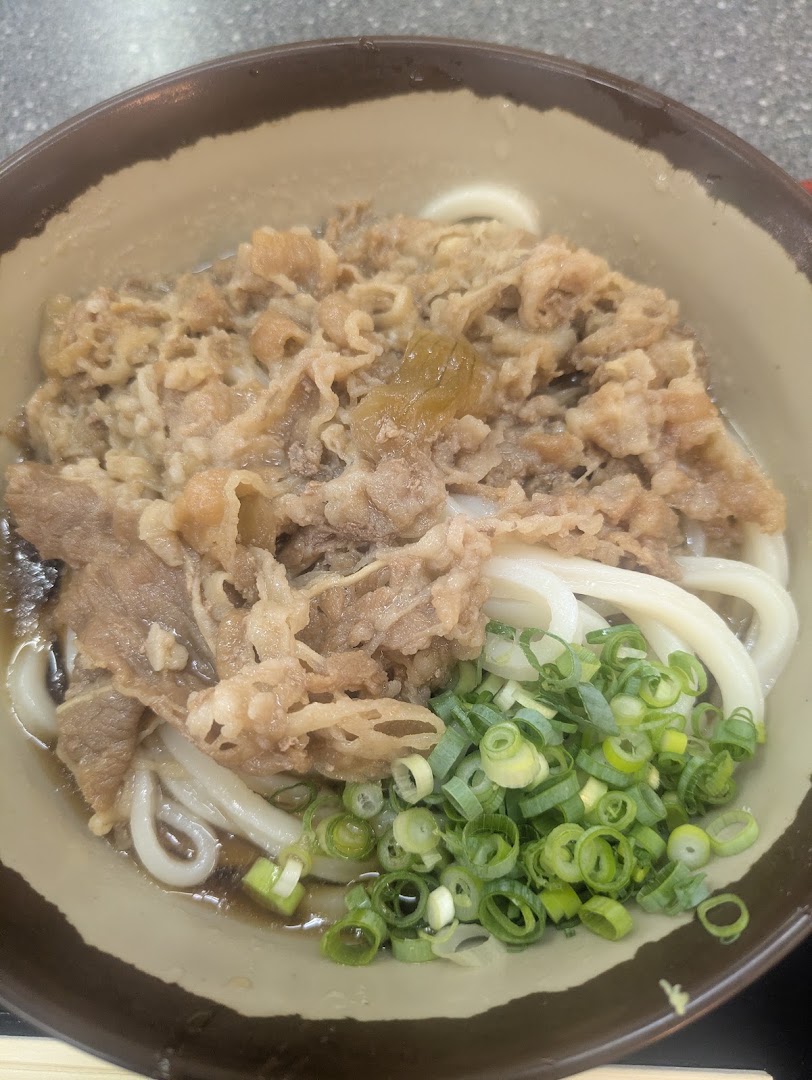 Cold meat bukkake udon with green onions at Ueta Udon